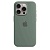 Чехол Silicone Case MagSafe для iPhone 15 Pro Кипарис